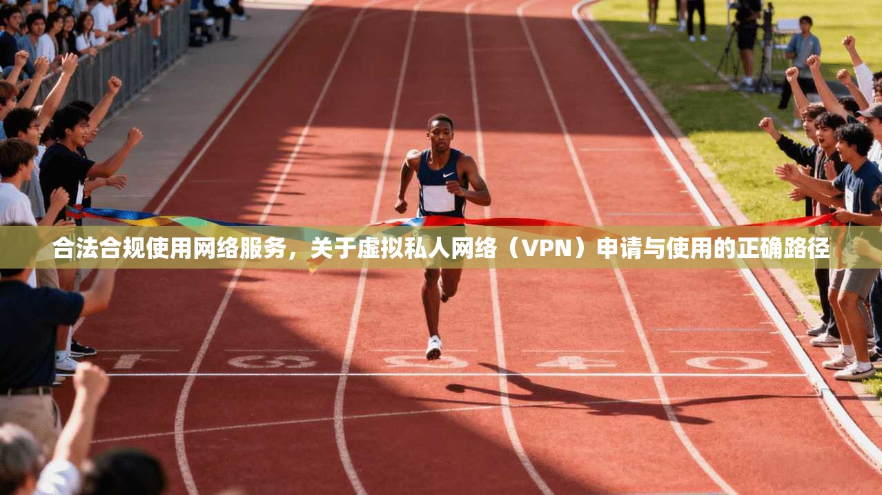 合法合规使用网络服务，关于虚拟私人网络（VPN）申请与使用的正确路径
