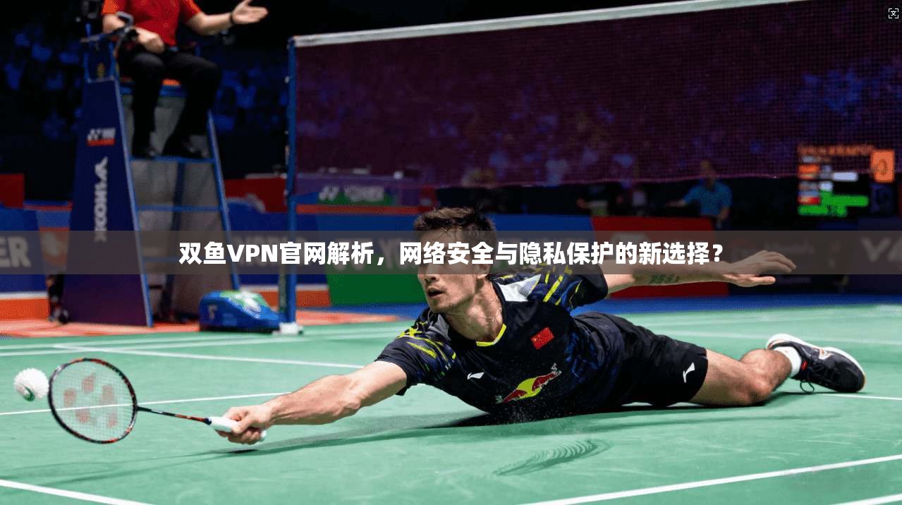 双鱼VPN官网解析，网络安全与隐私保护的新选择？
