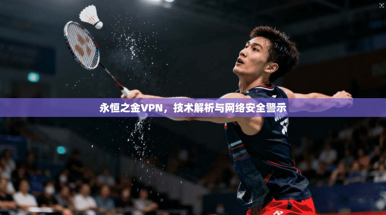 永恒之金VPN，技术解析与网络安全警示