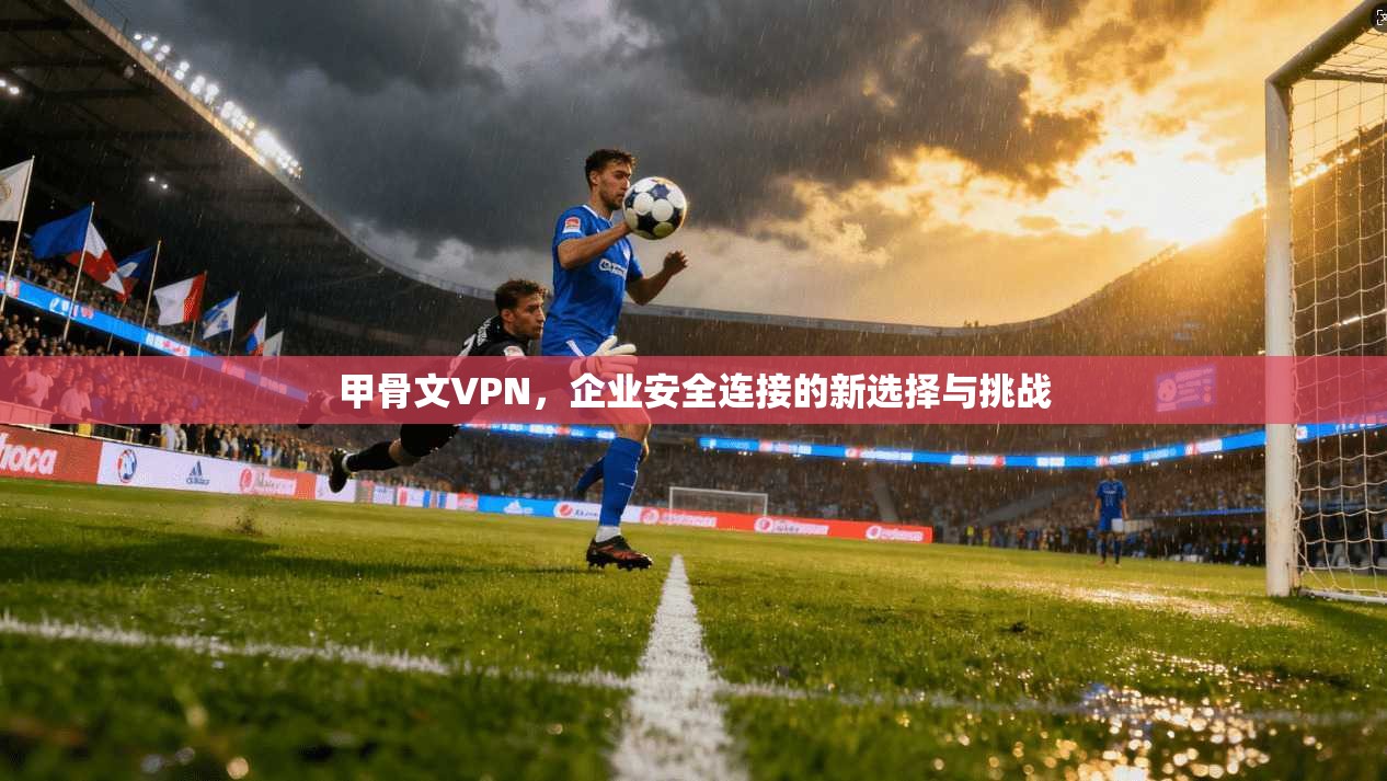 甲骨文VPN，企业安全连接的新选择与挑战