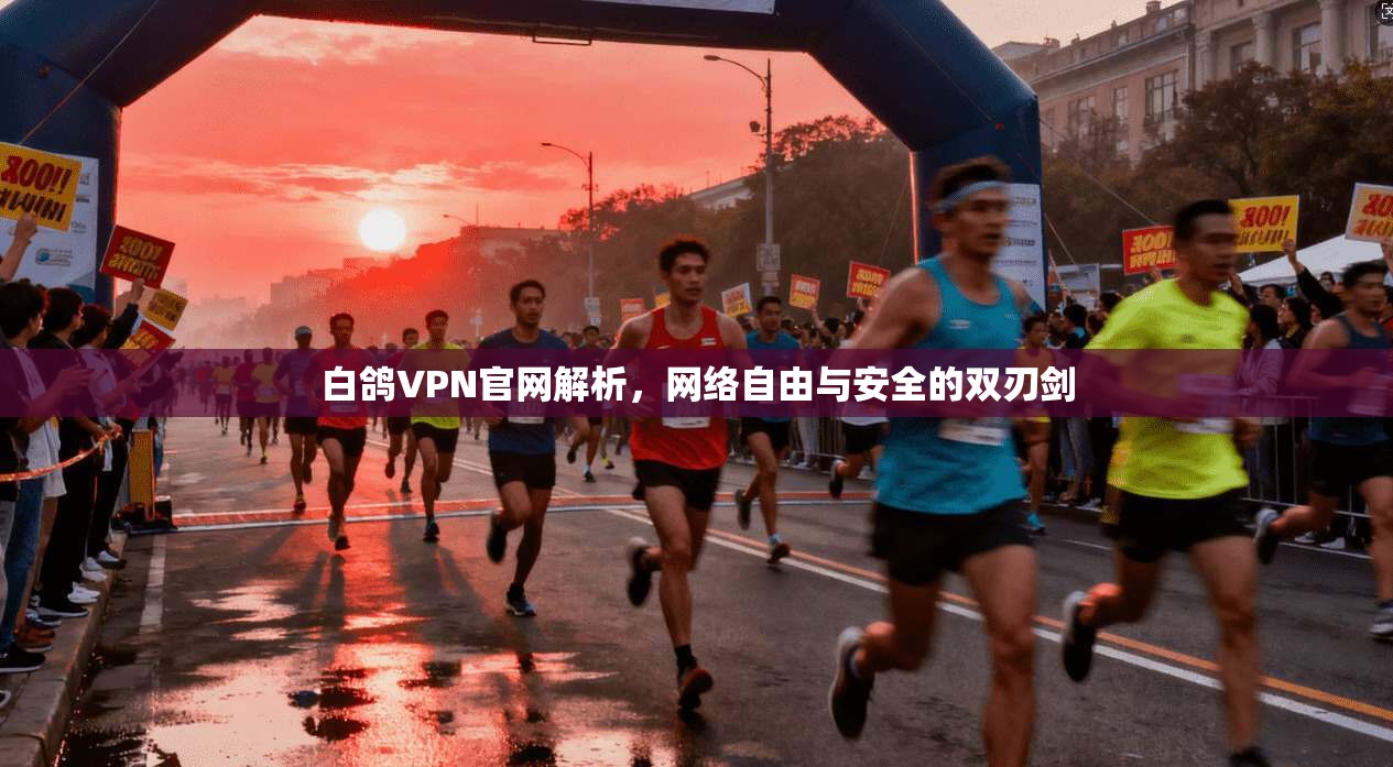 白鸽VPN官网解析，网络自由与安全的双刃剑