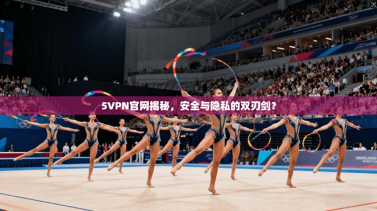 5VPN官网揭秘，安全与隐私的双刃剑？
