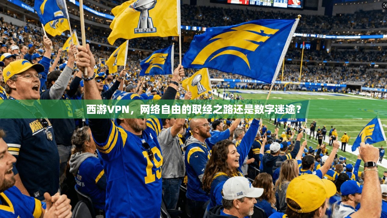 西游VPN，网络自由的取经之路还是数字迷途？