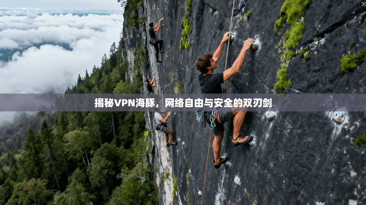 揭秘VPN海豚，网络自由与安全的双刃剑