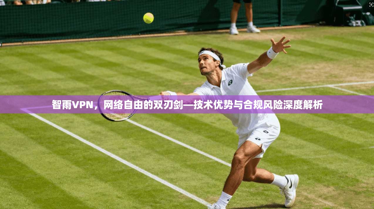 智雨VPN，网络自由的双刃剑—技术优势与合规风险深度解析