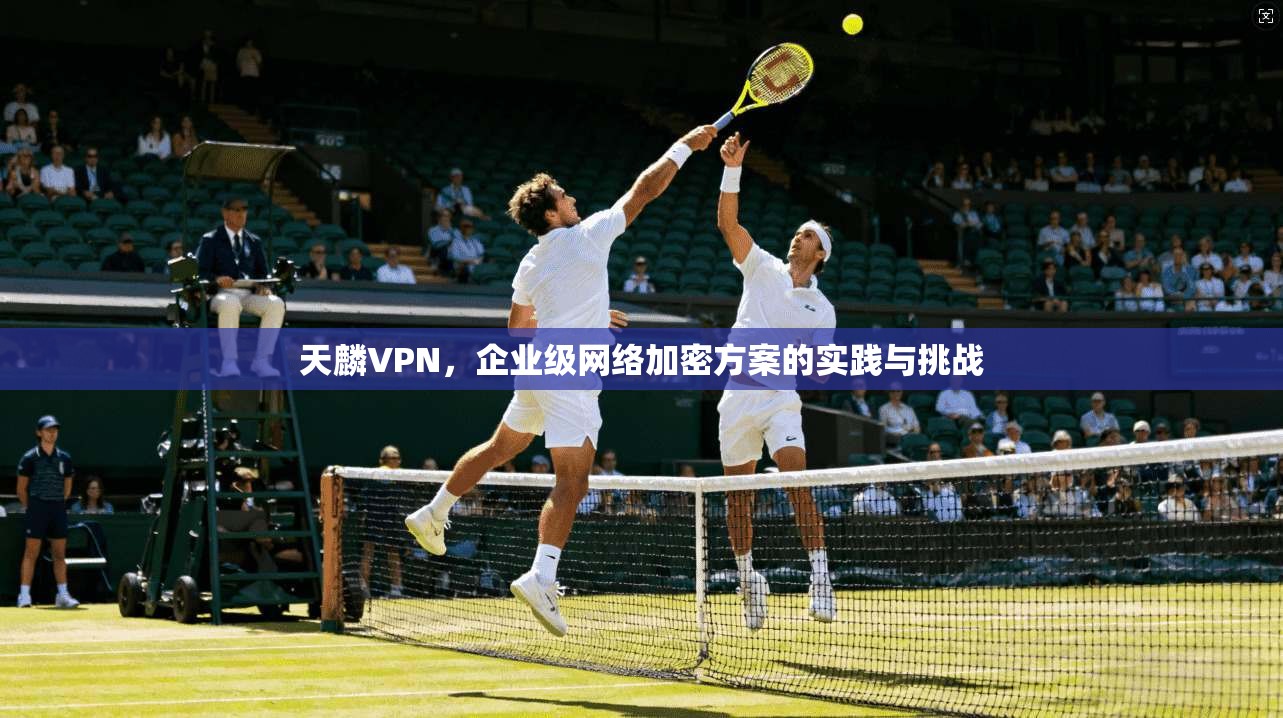 天麟VPN，企业级网络加密方案的实践与挑战