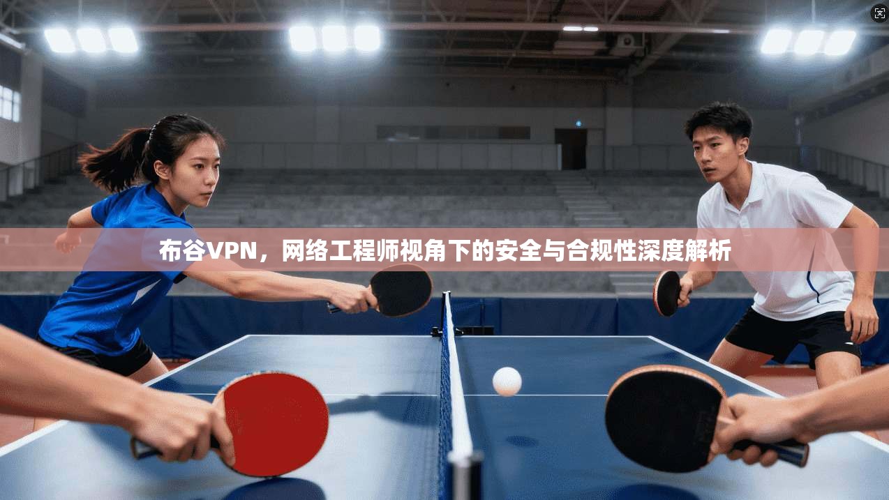 布谷VPN，网络工程师视角下的安全与合规性深度解析