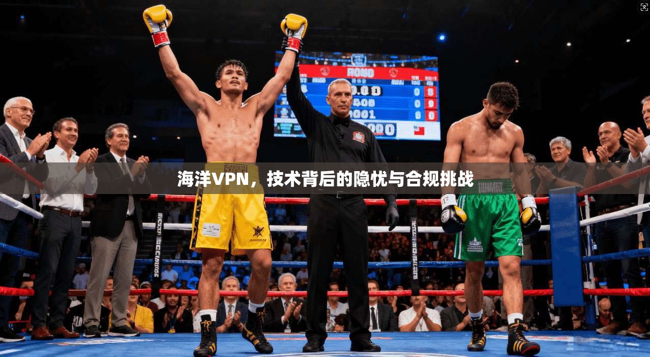 海洋VPN，技术背后的隐忧与合规挑战