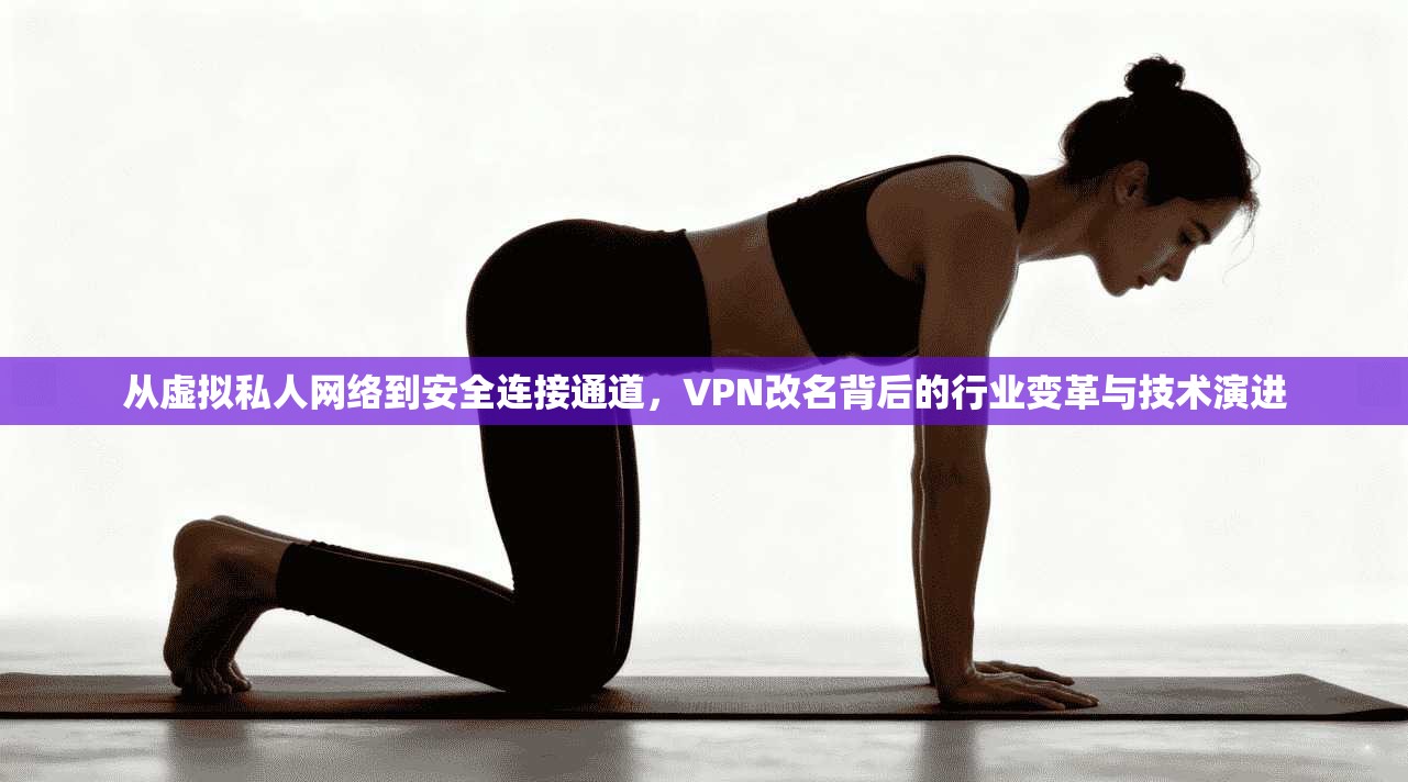 从虚拟私人网络到安全连接通道，VPN改名背后的行业变革与技术演进