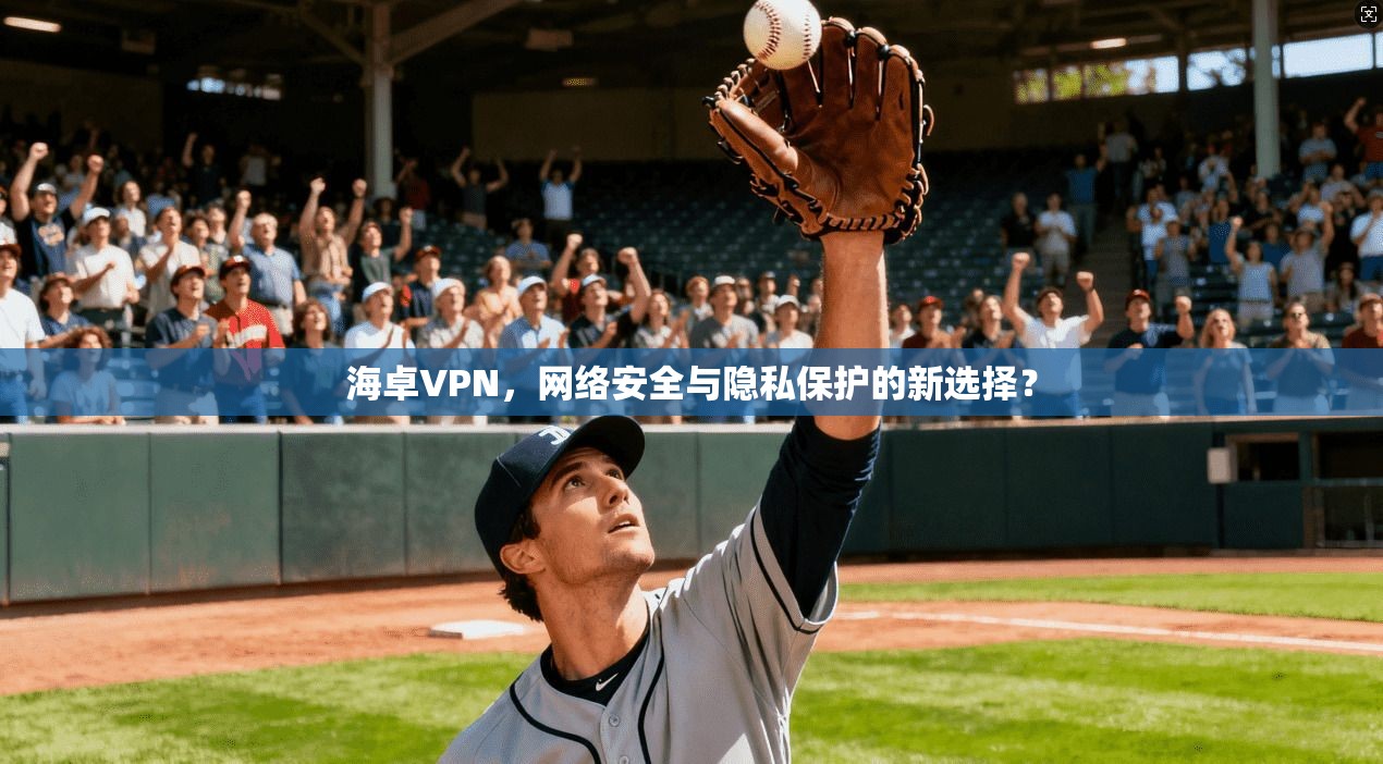 海卓VPN，网络安全与隐私保护的新选择？