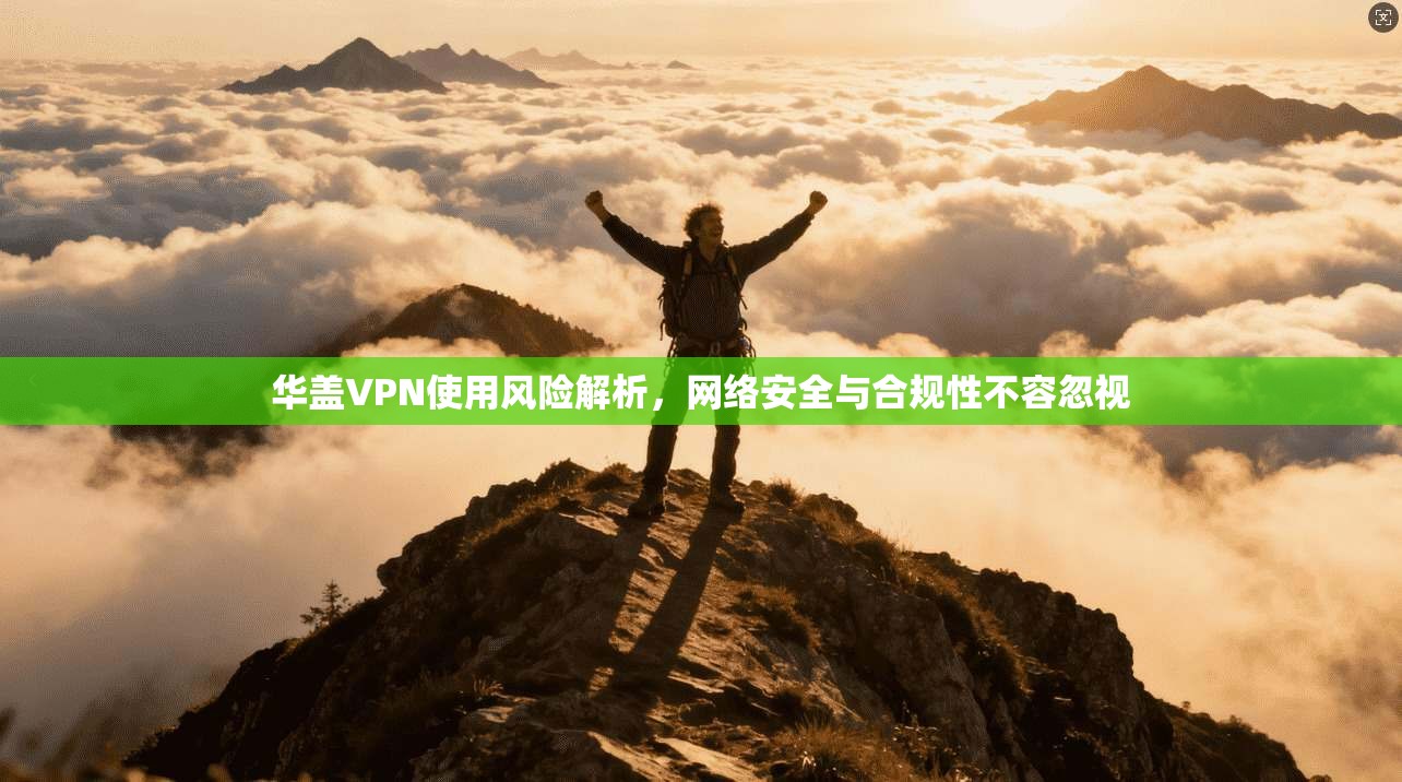 华盖VPN使用风险解析，网络安全与合规性不容忽视