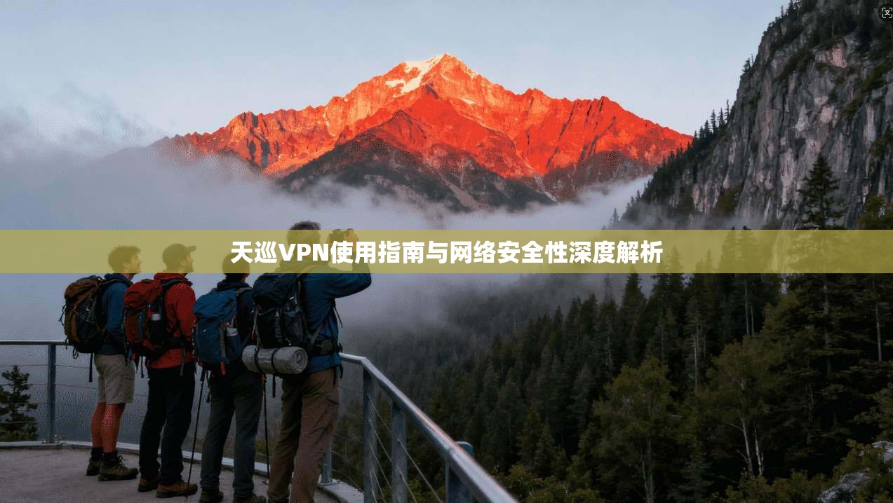 天巡VPN使用指南与网络安全性深度解析