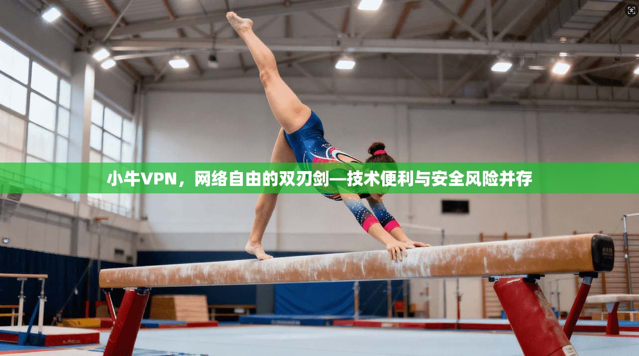 小牛VPN，网络自由的双刃剑—技术便利与安全风险并存