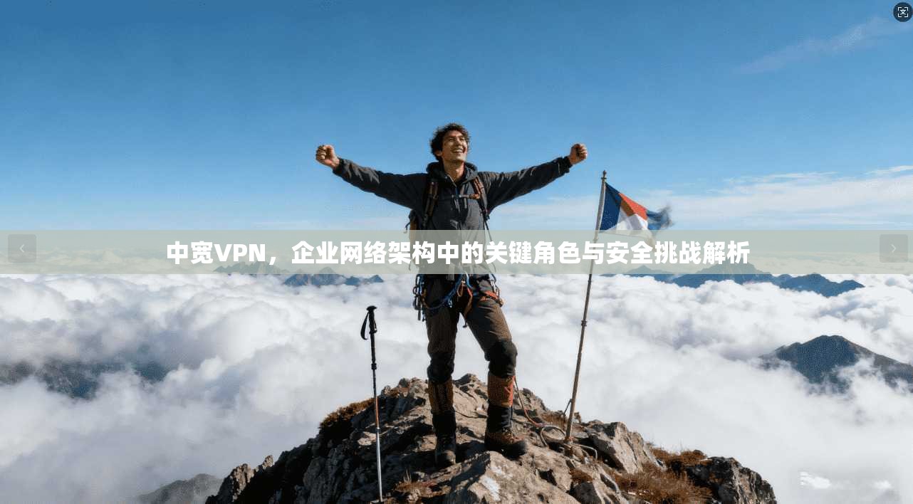 中宽VPN，企业网络架构中的关键角色与安全挑战解析
