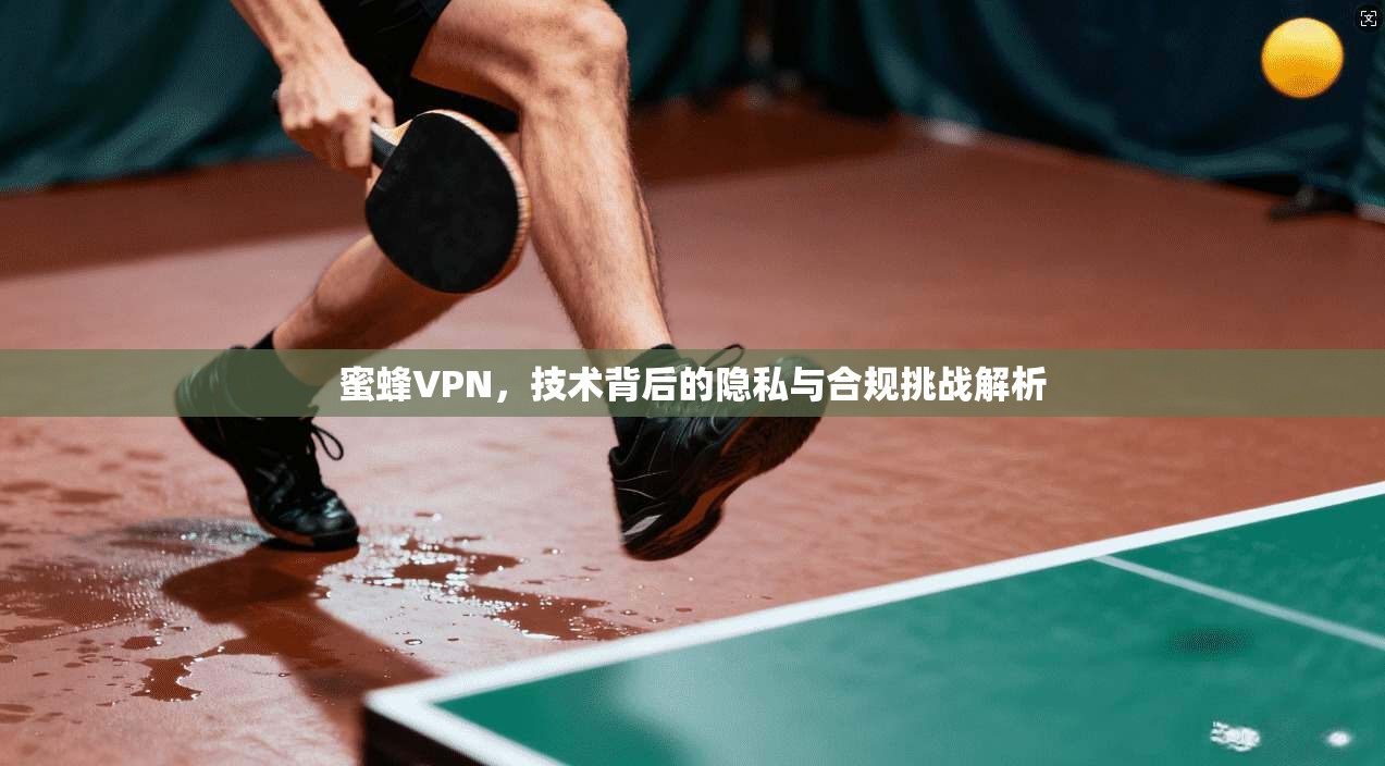 蜜蜂VPN，技术背后的隐私与合规挑战解析