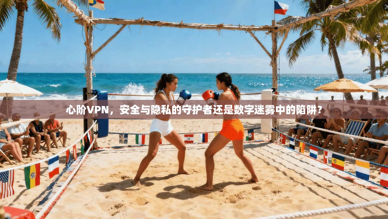 心阶VPN，安全与隐私的守护者还是数字迷雾中的陷阱？