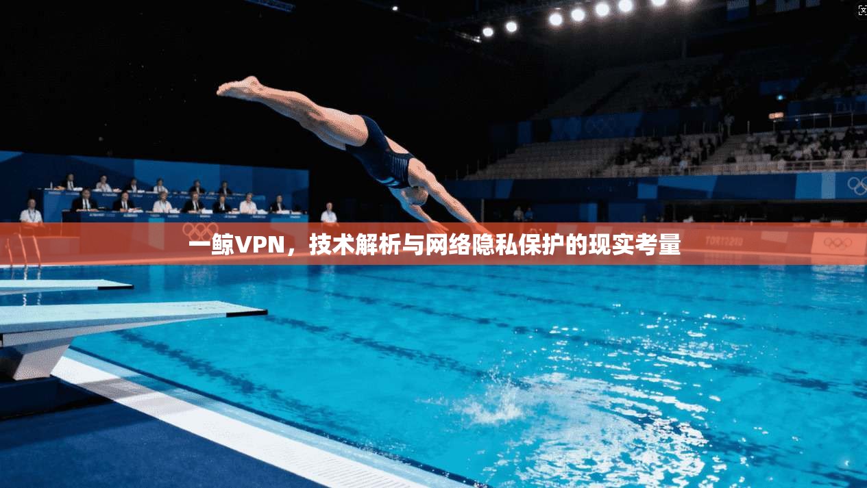 一鲸VPN，技术解析与网络隐私保护的现实考量