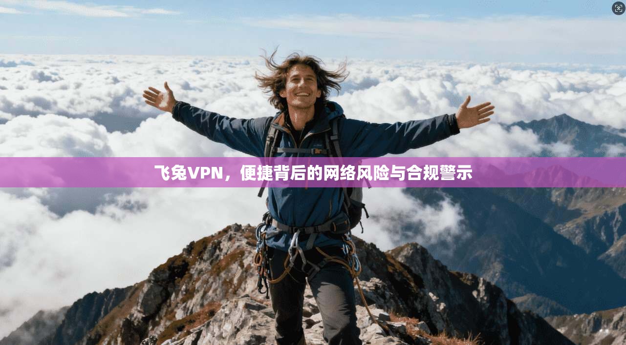 飞兔VPN，便捷背后的网络风险与合规警示