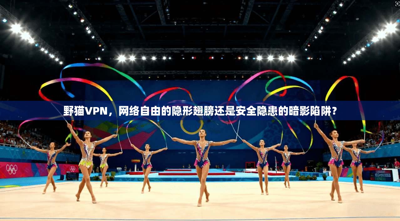 野猫VPN，网络自由的隐形翅膀还是安全隐患的暗影陷阱？