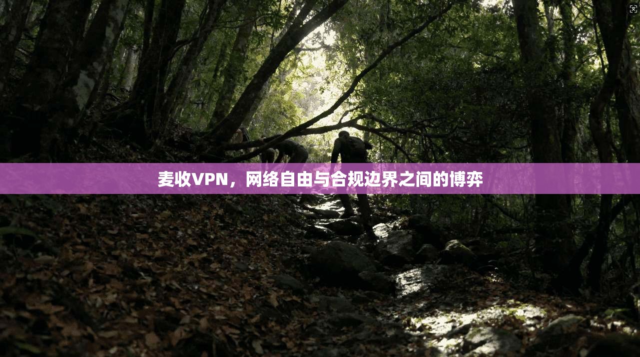 麦收VPN，网络自由与合规边界之间的博弈