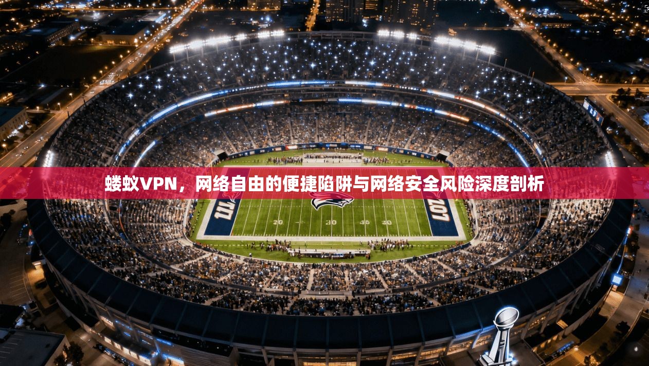 蝼蚁VPN，网络自由的便捷陷阱与网络安全风险深度剖析