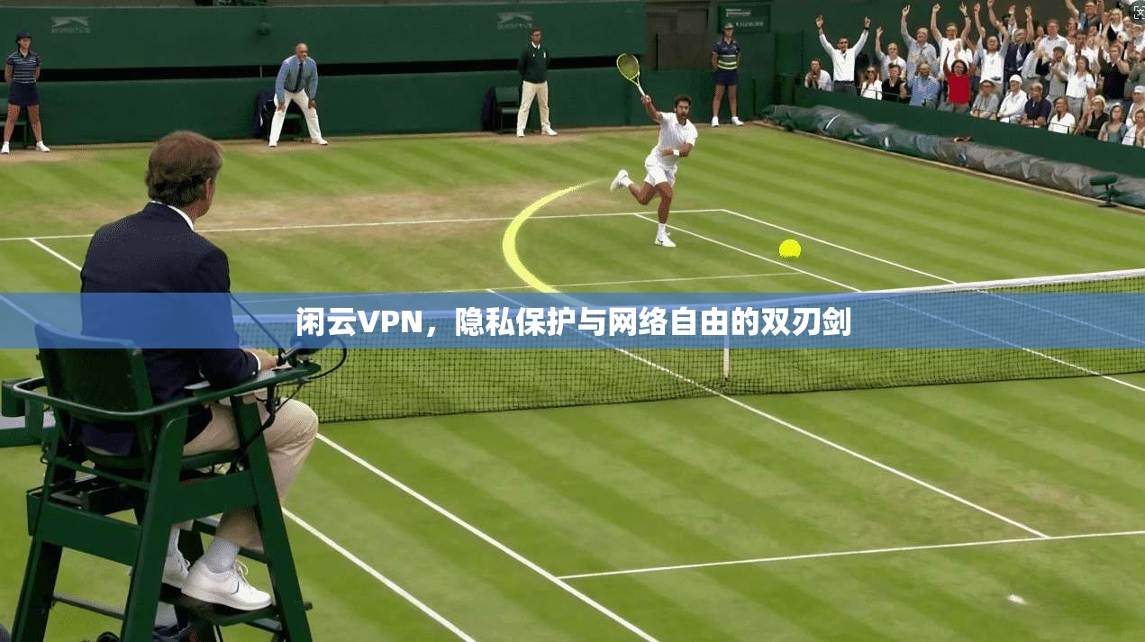 闲云VPN，隐私保护与网络自由的双刃剑