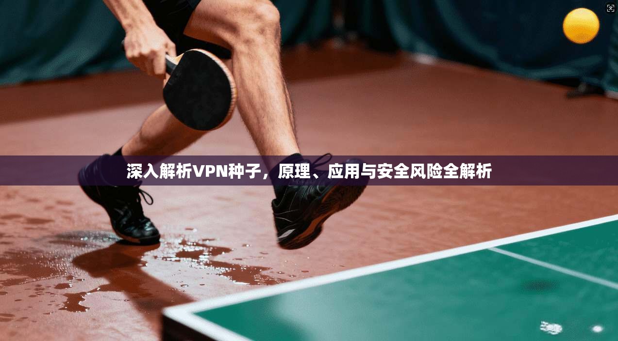 深入解析VPN种子，原理、应用与安全风险全解析