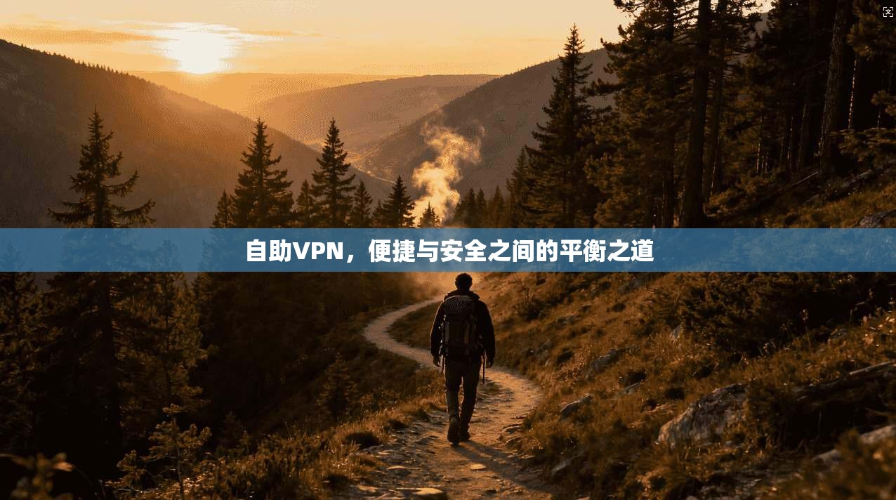 自助VPN，便捷与安全之间的平衡之道