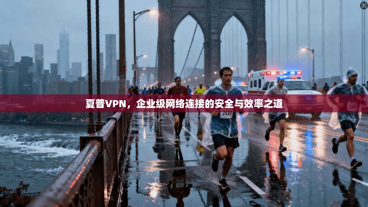夏普VPN，企业级网络连接的安全与效率之道