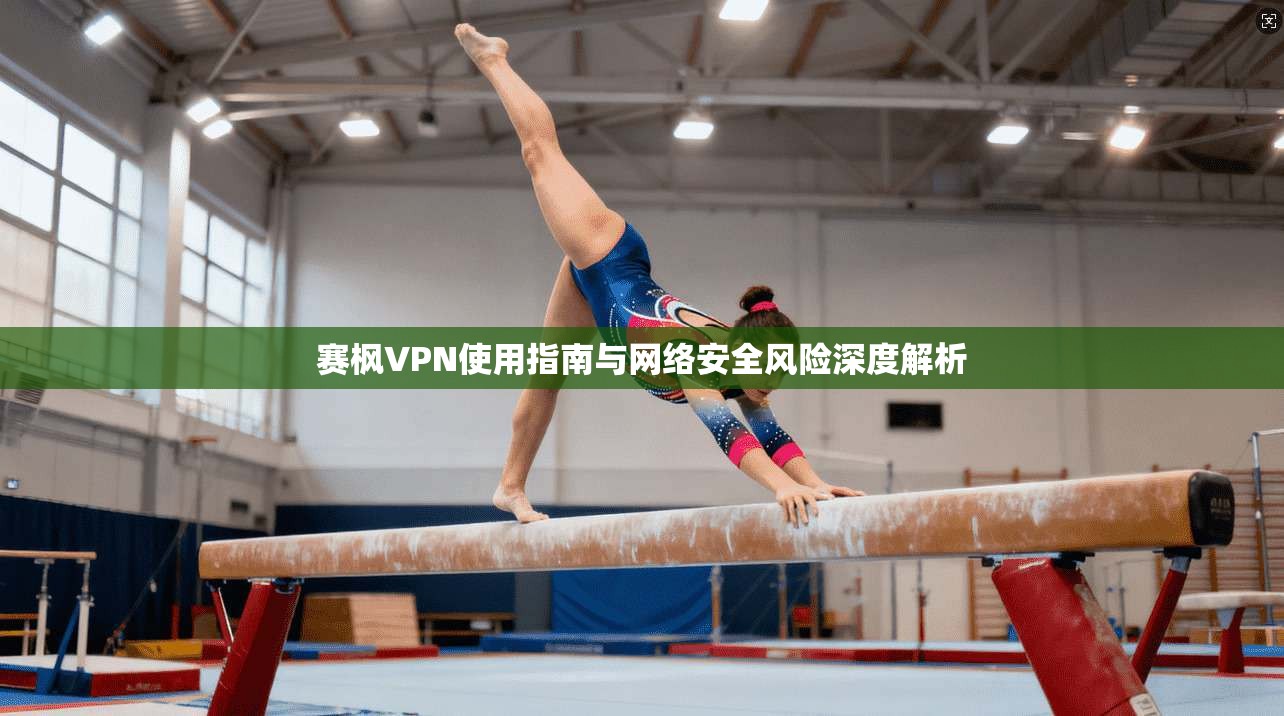 赛枫VPN使用指南与网络安全风险深度解析