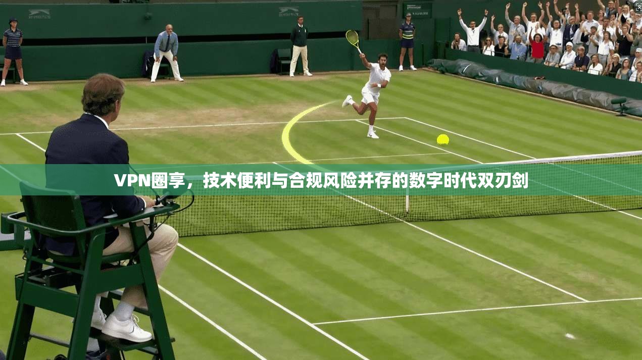 VPN圈享，技术便利与合规风险并存的数字时代双刃剑