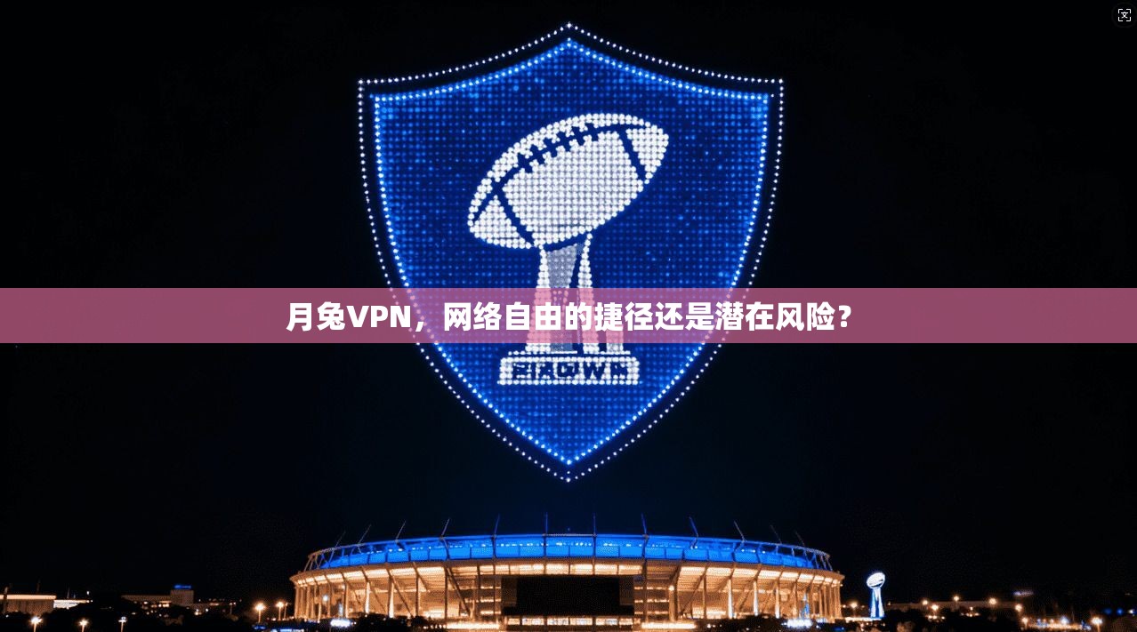 月兔VPN，网络自由的捷径还是潜在风险？