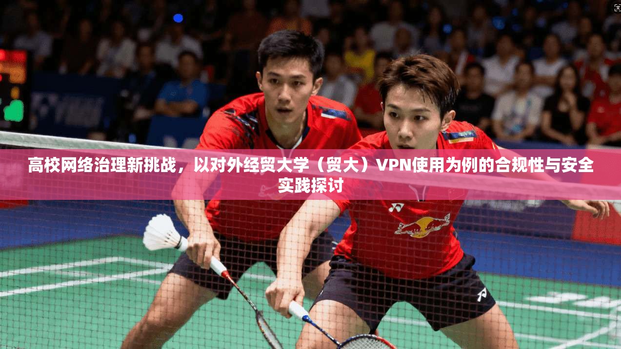 高校网络治理新挑战，以对外经贸大学（贸大）VPN使用为例的合规性与安全实践探讨
