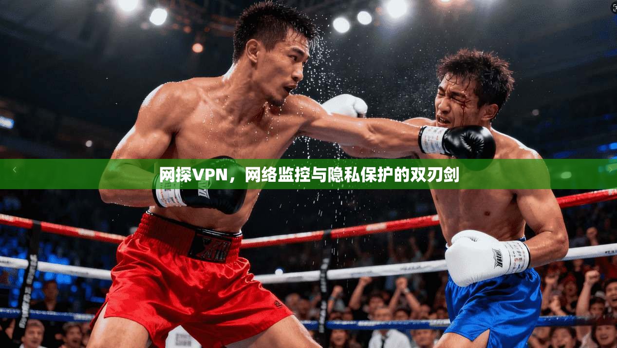 网探VPN，网络监控与隐私保护的双刃剑