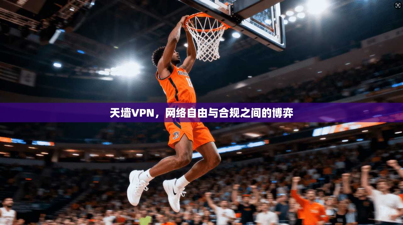 天墙VPN，网络自由与合规之间的博弈