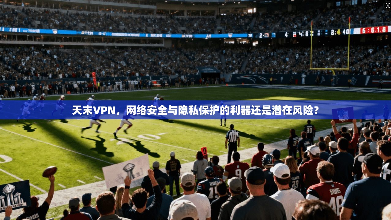 天末VPN，网络安全与隐私保护的利器还是潜在风险？