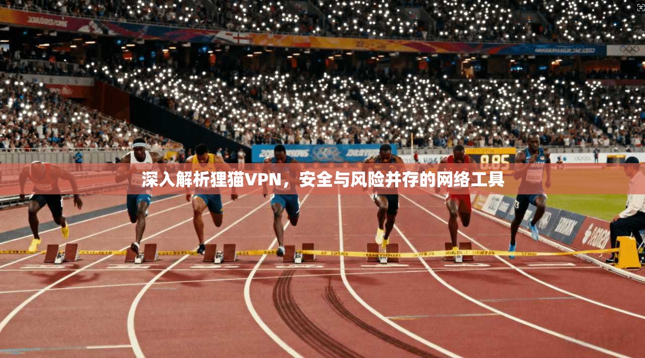深入解析狸猫VPN，安全与风险并存的网络工具