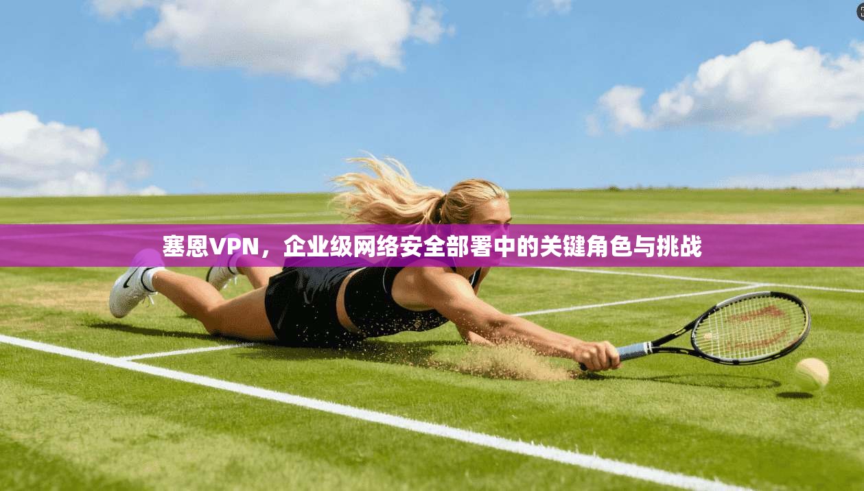 塞恩VPN，企业级网络安全部署中的关键角色与挑战