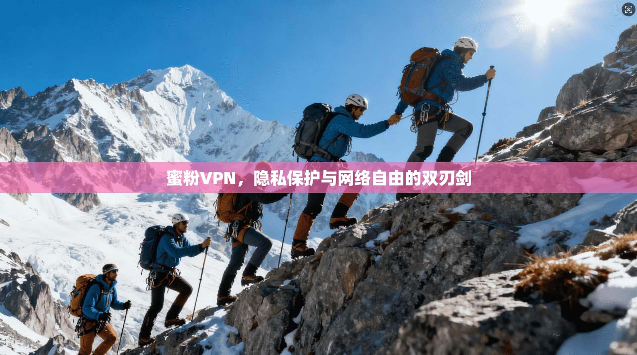 蜜粉VPN，隐私保护与网络自由的双刃剑