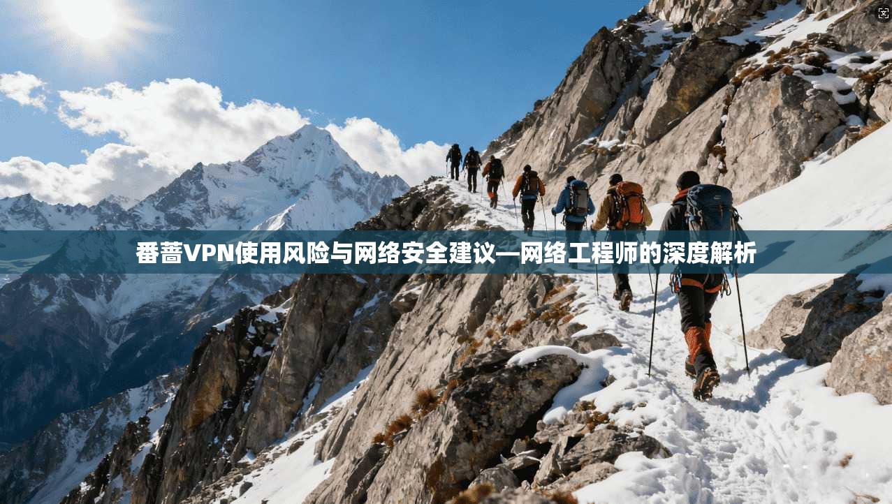 番蔷VPN使用风险与网络安全建议—网络工程师的深度解析