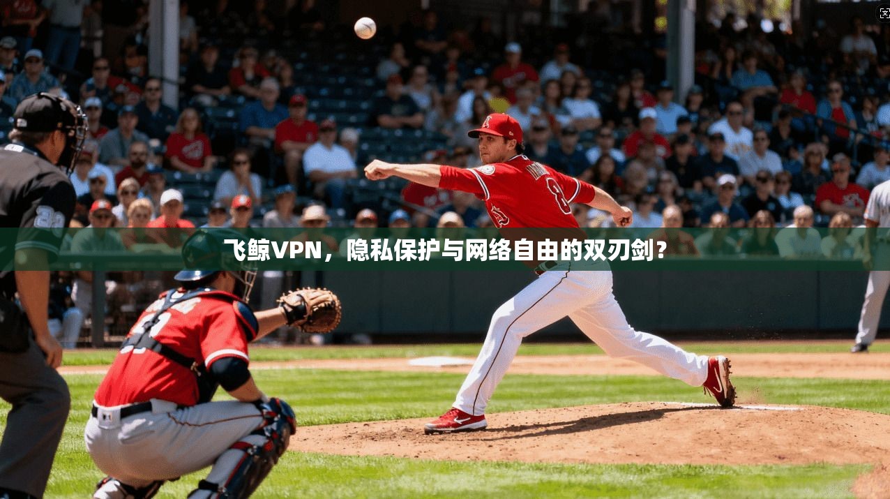 飞鲸VPN，隐私保护与网络自由的双刃剑？
