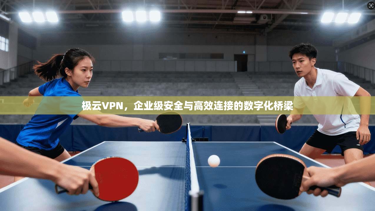 极云VPN，企业级安全与高效连接的数字化桥梁