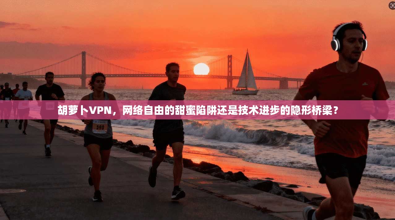 胡萝卜VPN，网络自由的甜蜜陷阱还是技术进步的隐形桥梁？