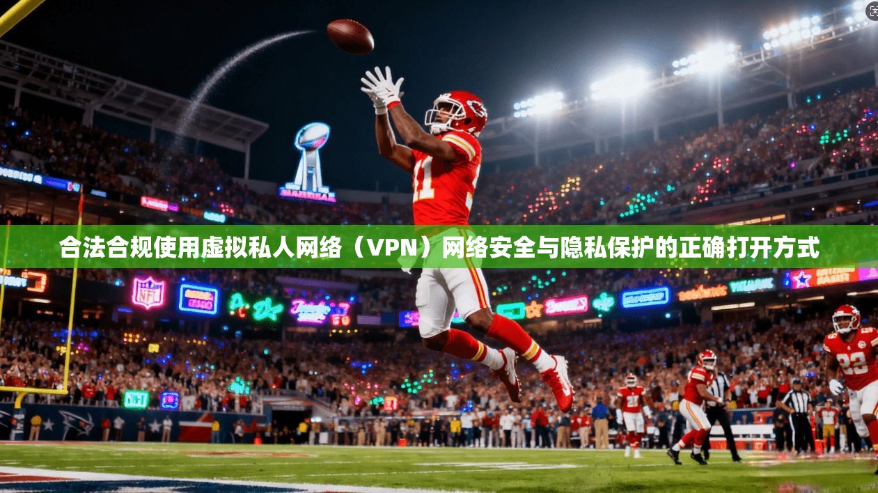 合法合规使用虚拟私人网络(VPN)网络安全与隐私保护的正确打开方式 合法合规使用虚拟私人网络(VPN)网络安全与隐私保护的正确打开方式