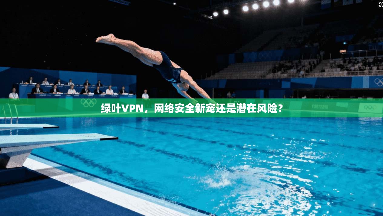 绿叶VPN，网络安全新宠还是潜在风险？