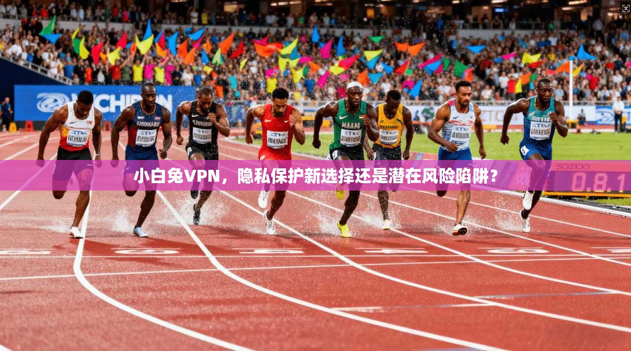 小白兔VPN，隐私保护新选择还是潜在风险陷阱？