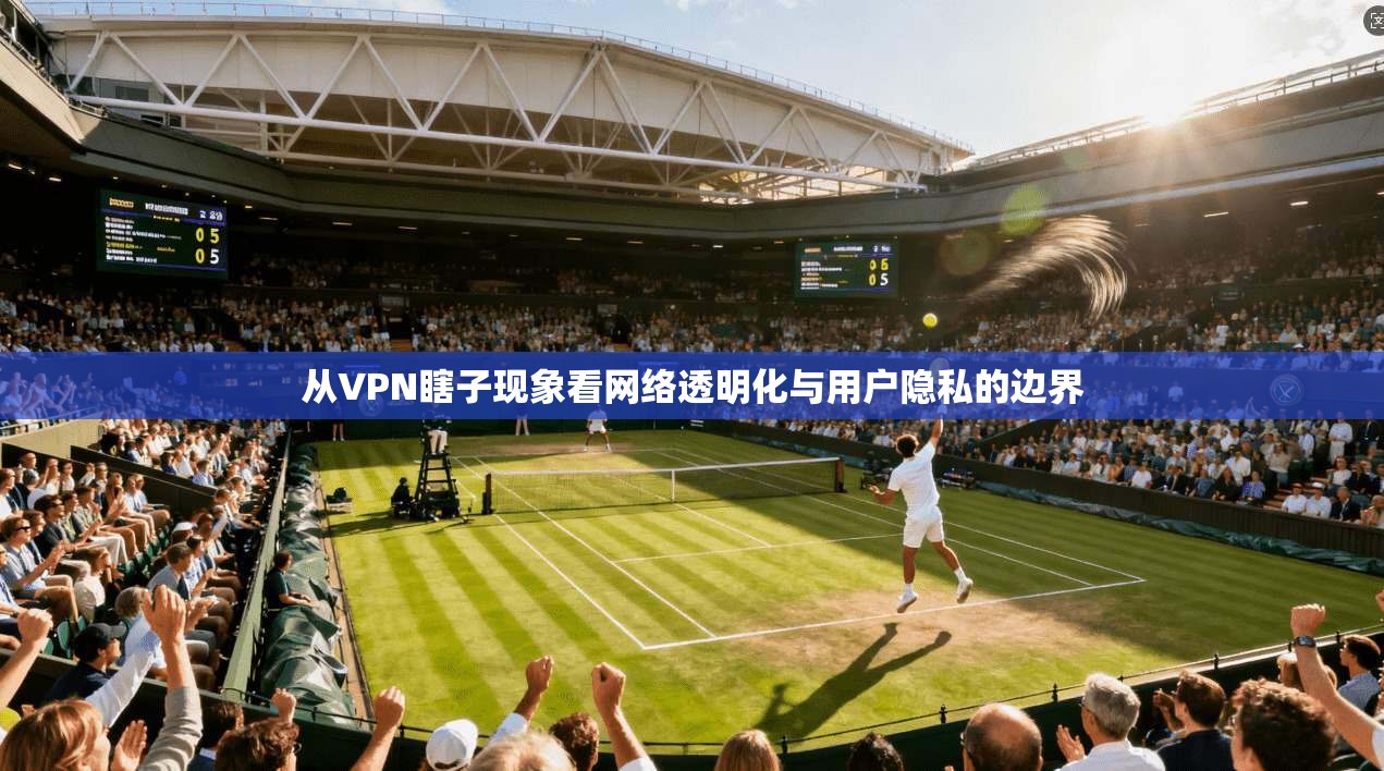 从VPN瞎子现象看网络透明化与用户隐私的边界