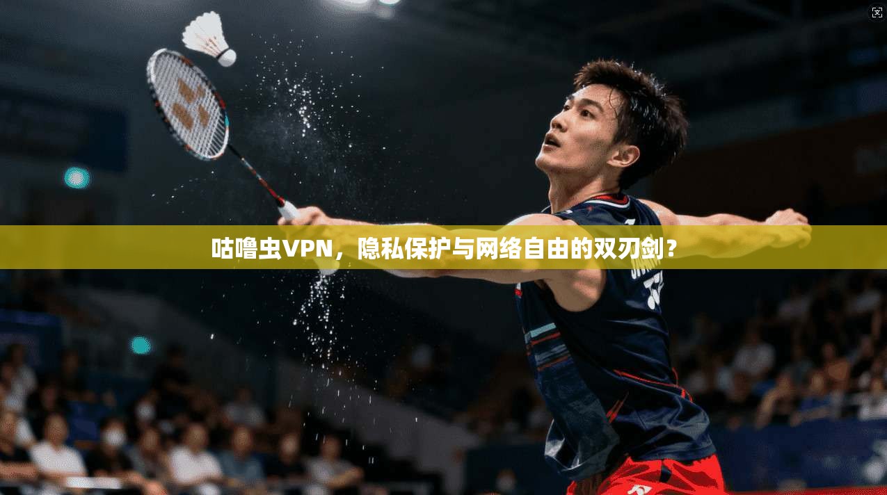 咕噜虫VPN，隐私保护与网络自由的双刃剑？