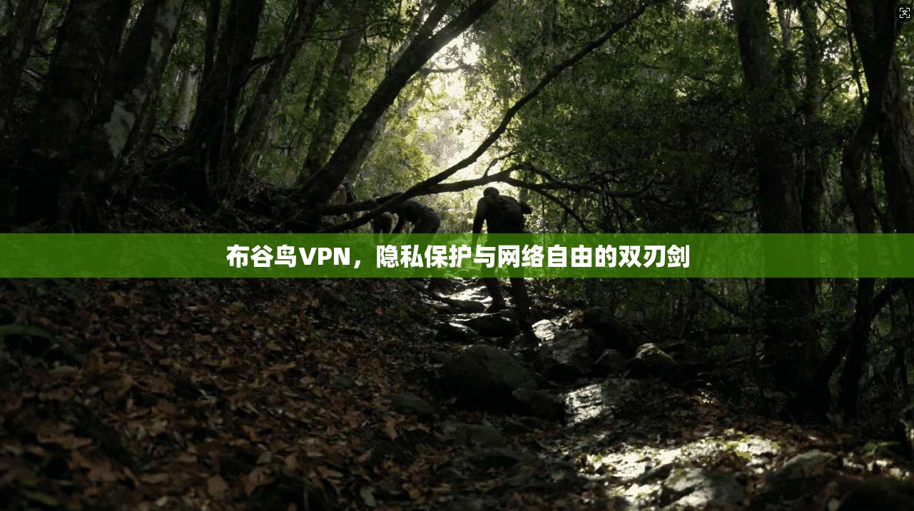 布谷鸟VPN，隐私保护与网络自由的双刃剑