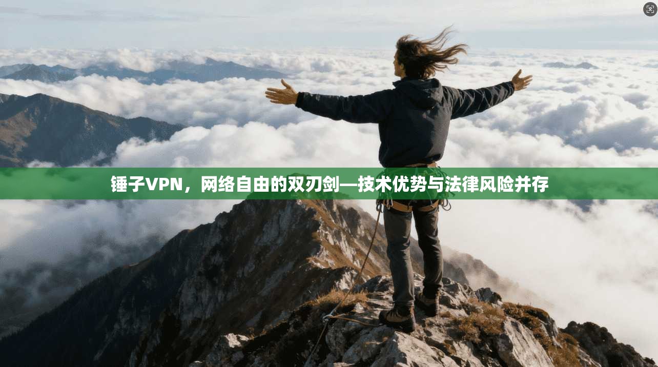 锤子VPN，网络自由的双刃剑—技术优势与法律风险并存